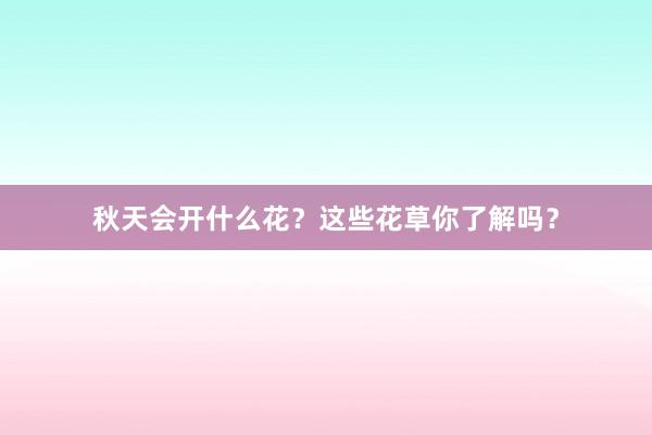 秋天会开什么花？这些花草你了解吗？