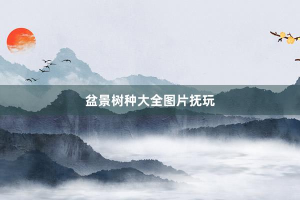 盆景树种大全图片抚玩
