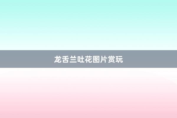 龙舌兰吐花图片赏玩
