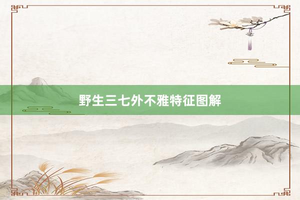 野生三七外不雅特征图解